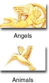 Angels and Animals